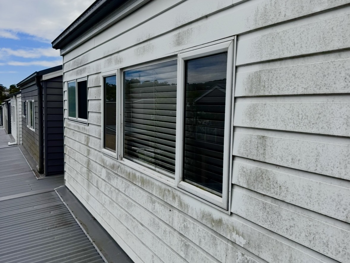 Mould-streaked weatherboard cladding before house washing in Newcastle